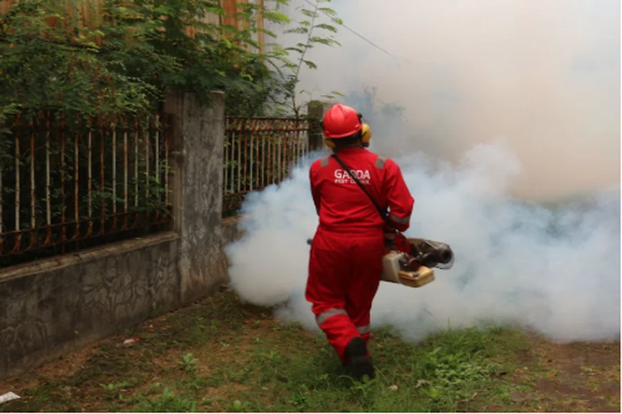 Comprehensive Insight into Singapore’s Premier Pest Management Industry Pest